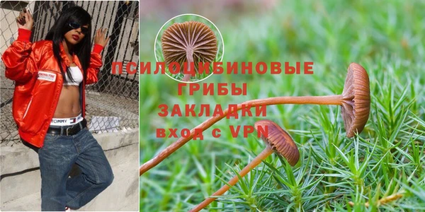 бутират Алексеевка