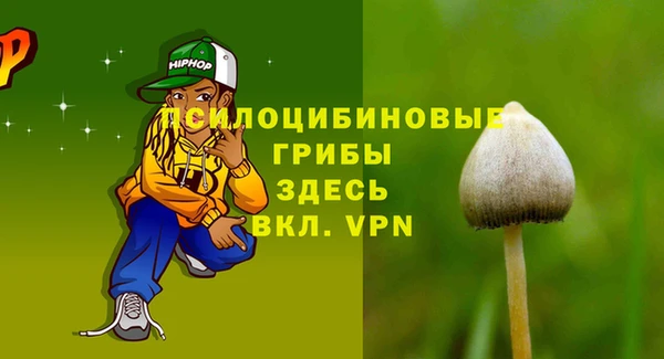 spice Абаза