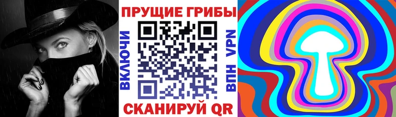 хочу наркоту  Якутск  Галлюциногенные грибы Psilocybe 