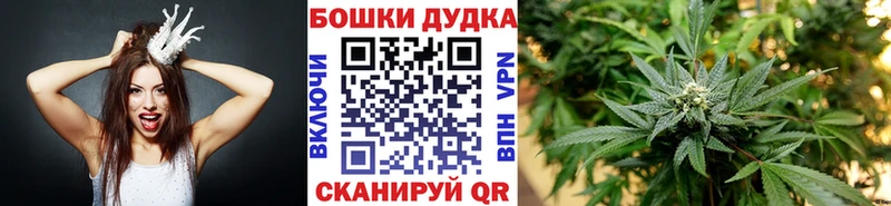 Канабис сатива Якутск